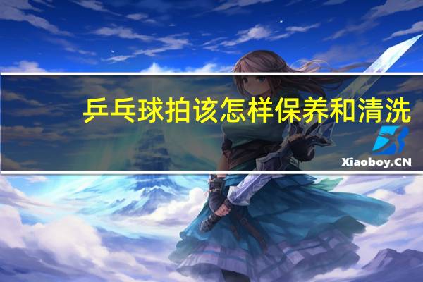 乒乓球拍该怎样保养和清洗
