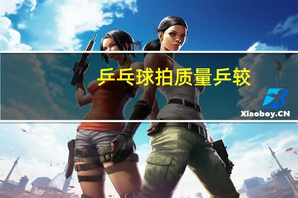 乒乓球拍质量乒较