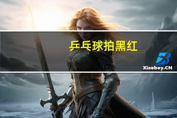 乒乓球拍黑红