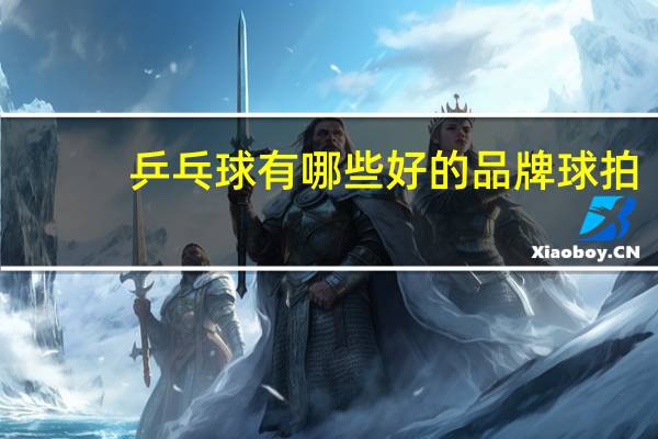 乒乓球有哪些好的品牌球拍