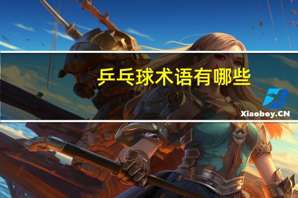 乒乓球术语有哪些