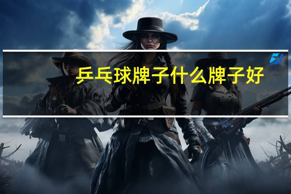 乒乓球牌子什么牌子好