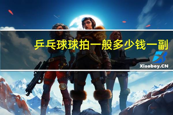 乒乓球球拍一般多少钱一副