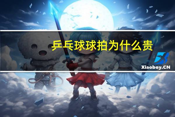 乒乓球球拍为什么贵