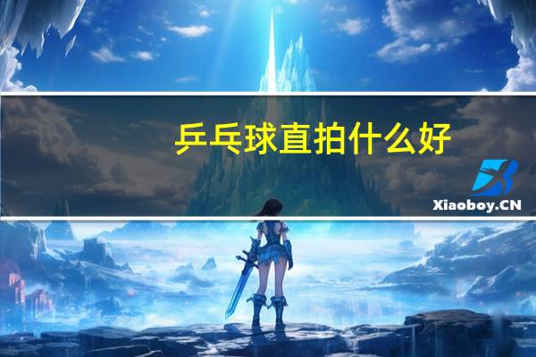 乒乓球直拍什么好