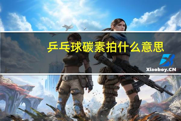 乒乓球碳素拍什么意思