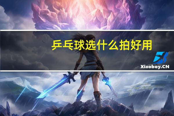 乒乓球选什么拍好用