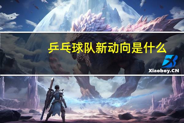 乒乓球队新动向是什么