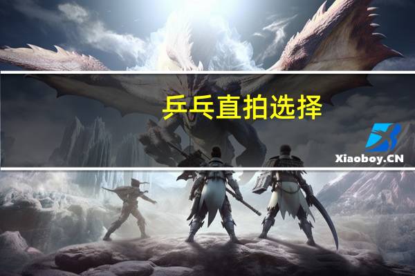 乒乓直拍选择