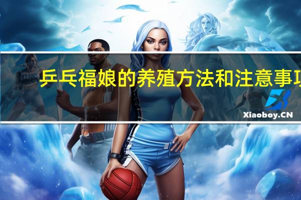 乒乓福娘的养殖方法和注意事项