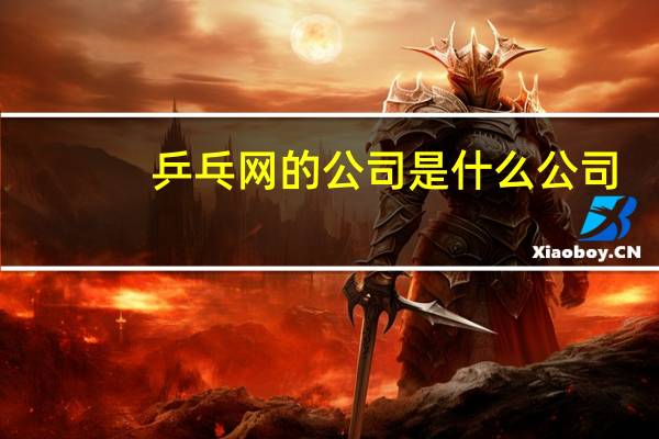 乒乓网的公司是什么公司