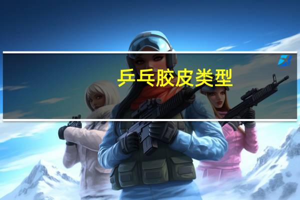 乒乓胶皮类型