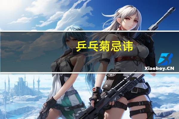 乒乓菊忌讳