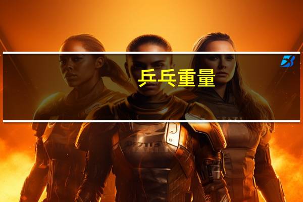 乒乓重量
