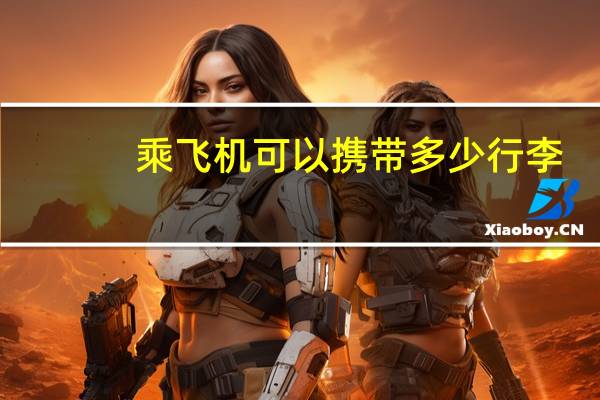 乘飞机可以携带多少行李