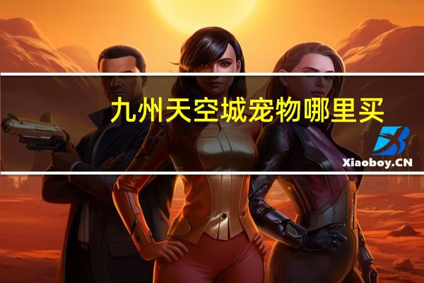 九州天空城宠物哪里买