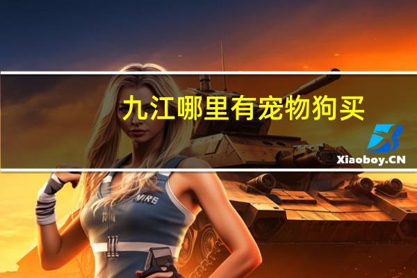 九江哪里有宠物狗买