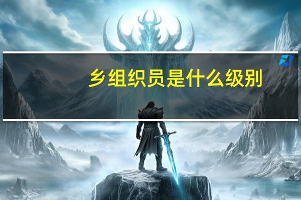 乡组织员是什么级别