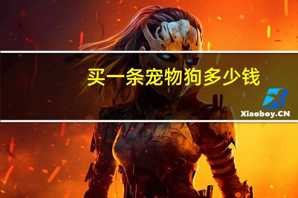 买一条宠物狗多少钱