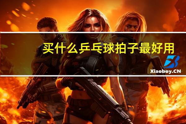 买什么乒乓球拍子最好用