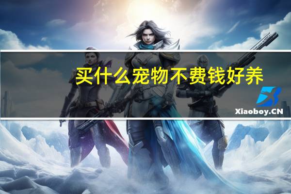 买什么宠物不费钱好养