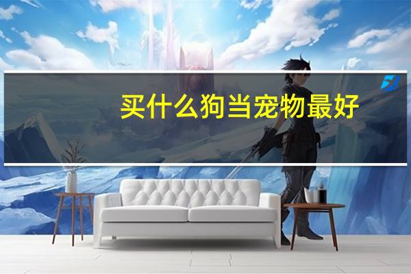 买什么狗当宠物最好
