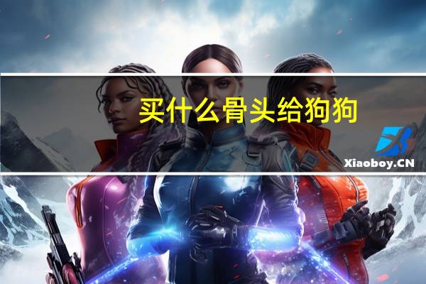 买什么骨头给狗狗