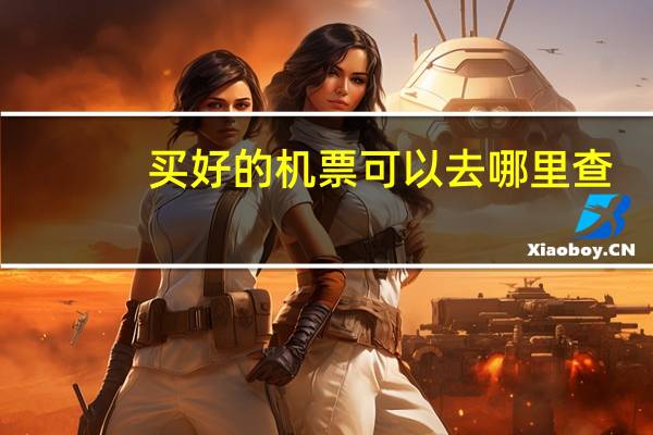 买好的机票可以去哪里查