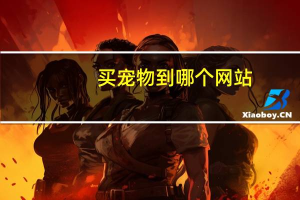 买宠物到哪个网站