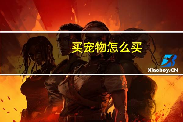 买宠物怎么买