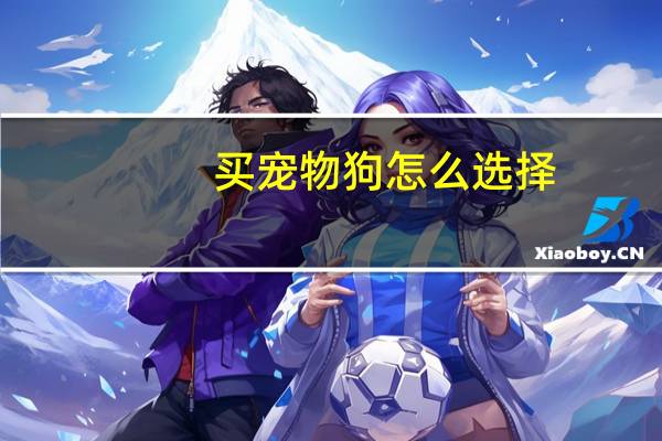 买宠物狗怎么选择