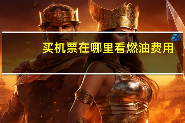 买机票在哪里看燃油费用