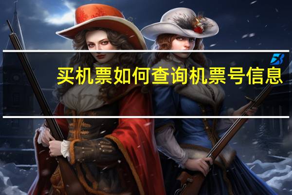 买机票如何查询机票号信息