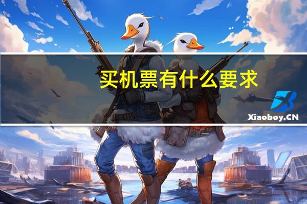 买机票有什么要求
