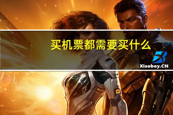 买机票都需要买什么