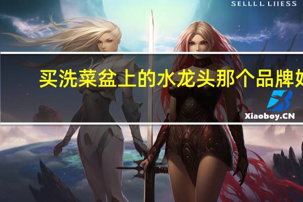 买洗菜盆上的水龙头那个品牌好