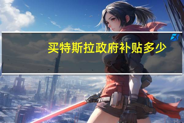 买特斯拉政府补贴多少