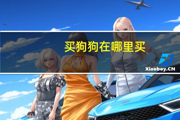 买狗狗在哪里买