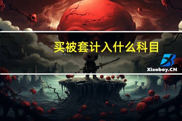 买被套计入什么科目