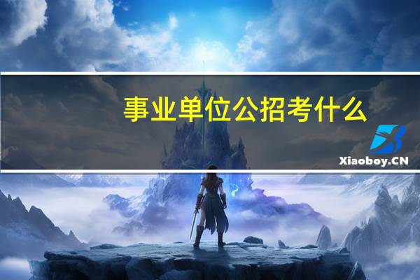 事业单位公招考什么