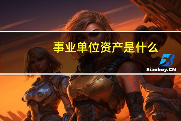 事业单位资产是什么