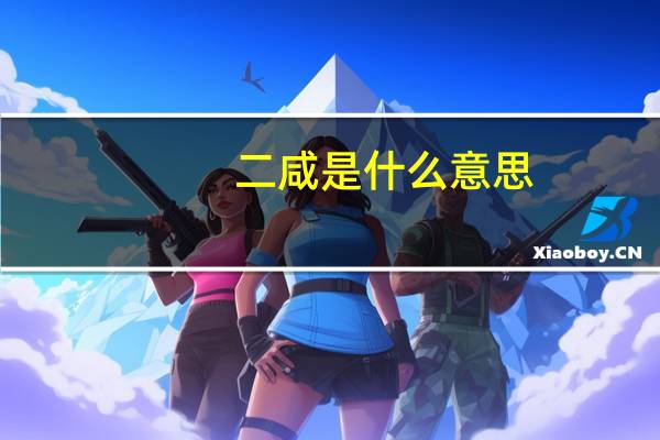 二咸是什么意思