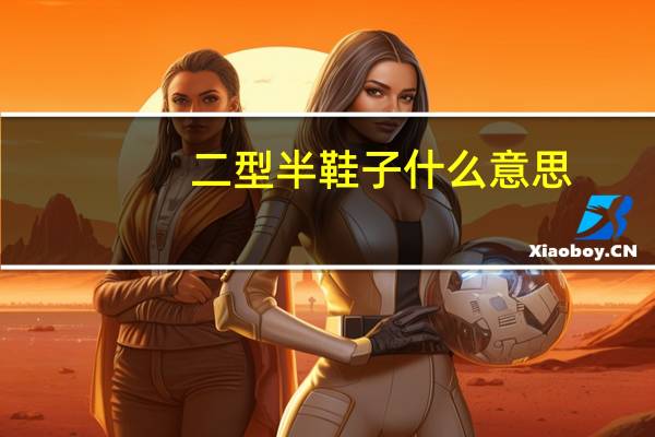二型半鞋子什么意思