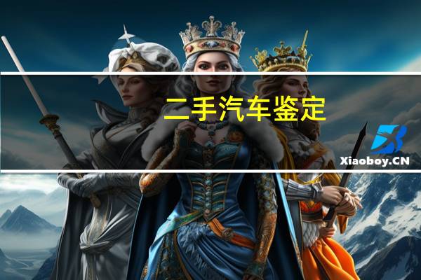 二手汽车鉴定