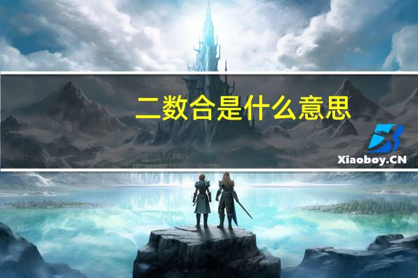 二数合是什么意思