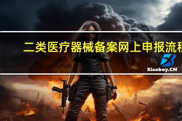 二类医疗器械备案网上申报流程