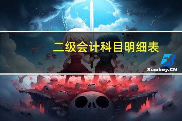 二级会计科目明细表