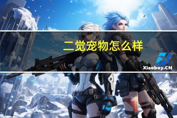 二觉宠物怎么样