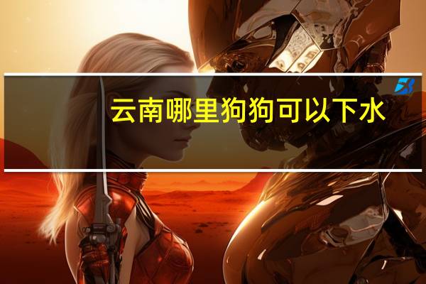 云南哪里狗狗可以下水