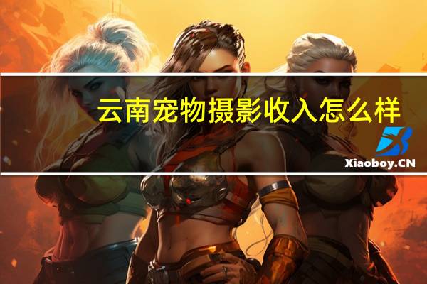 云南宠物摄影收入怎么样